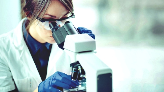 Avoid Ruining Your Microbiome | A Healthy Gut For A Better Vision