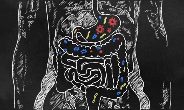 The Gut as a Source of Diseases | Why a Healthy Gut Is Important to Your Neurological Health & Vision