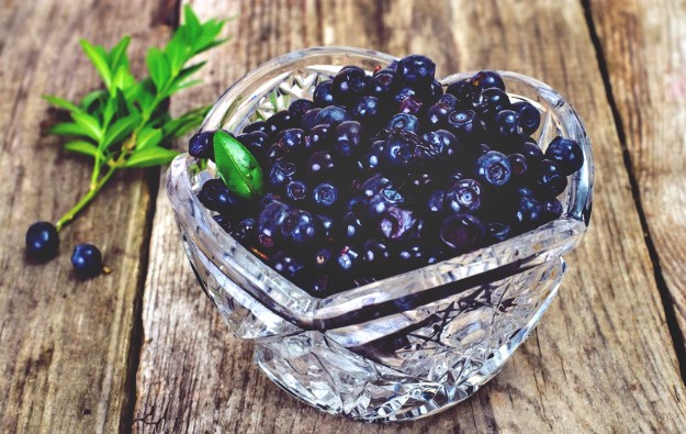 Bilberry | How To Improve Eye Health Naturally