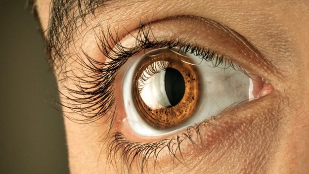 What Do the Names Mean? | Optometry Vs Ophthalmology: How Do They Differ?