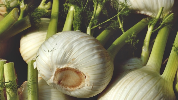 Fennel | How To Improve Eye Health Naturally