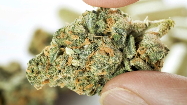Medicinal Marijuana and Its Role in Treating Diseases? | Using Medical Marijuana For Glaucoma Treatment