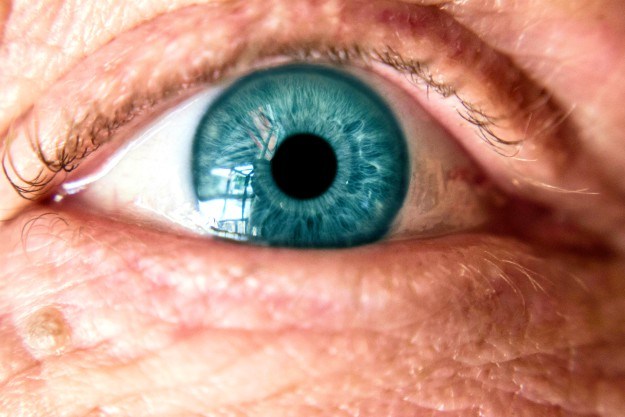 Don’t Miss These Posts On Healing The Eye…