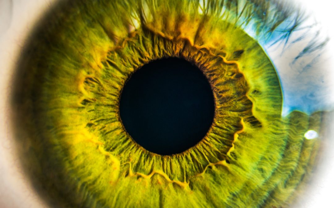 How Eyes Diseases Can Be Treated with Stem Cells?