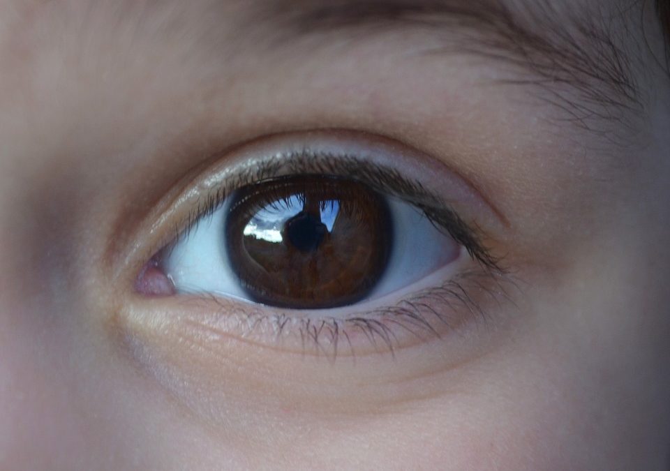 What Are Different Types of Glaucoma ?