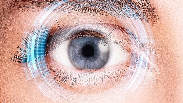 Which Eyes Parts Are Associated With Which Eye Diseases?