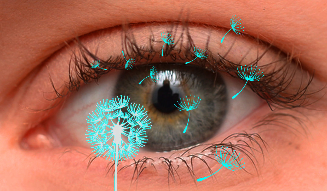 How to protect your eyes from Allergies?