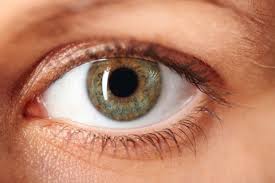 Eye Diseases Are Associated With Eye Floaters